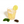 Load image into Gallery viewer, Real Sips